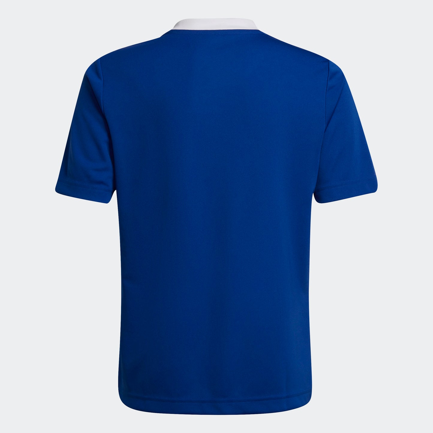 adidas Entrada 22 Jersey | Blue | Youth