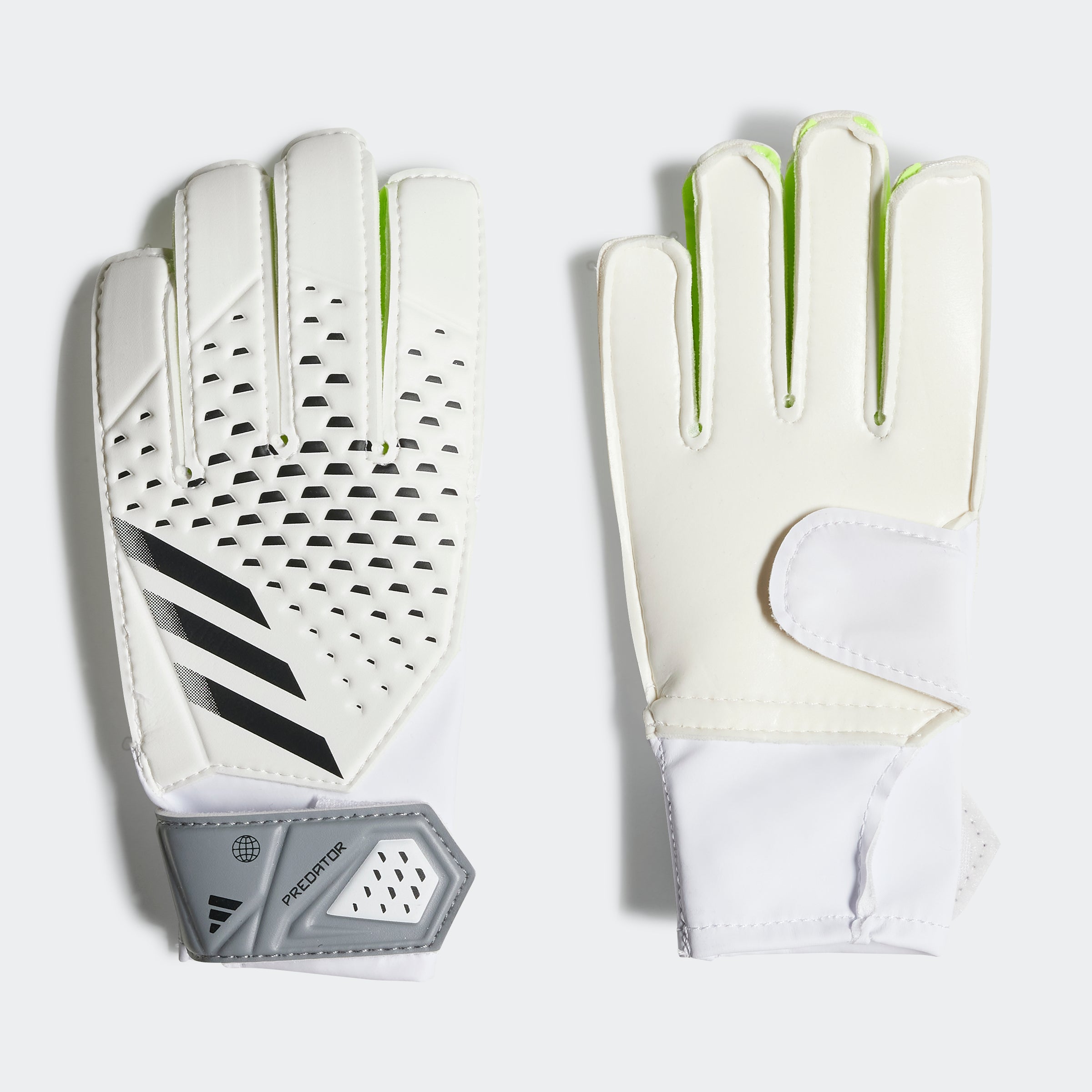 Adidas predator training online