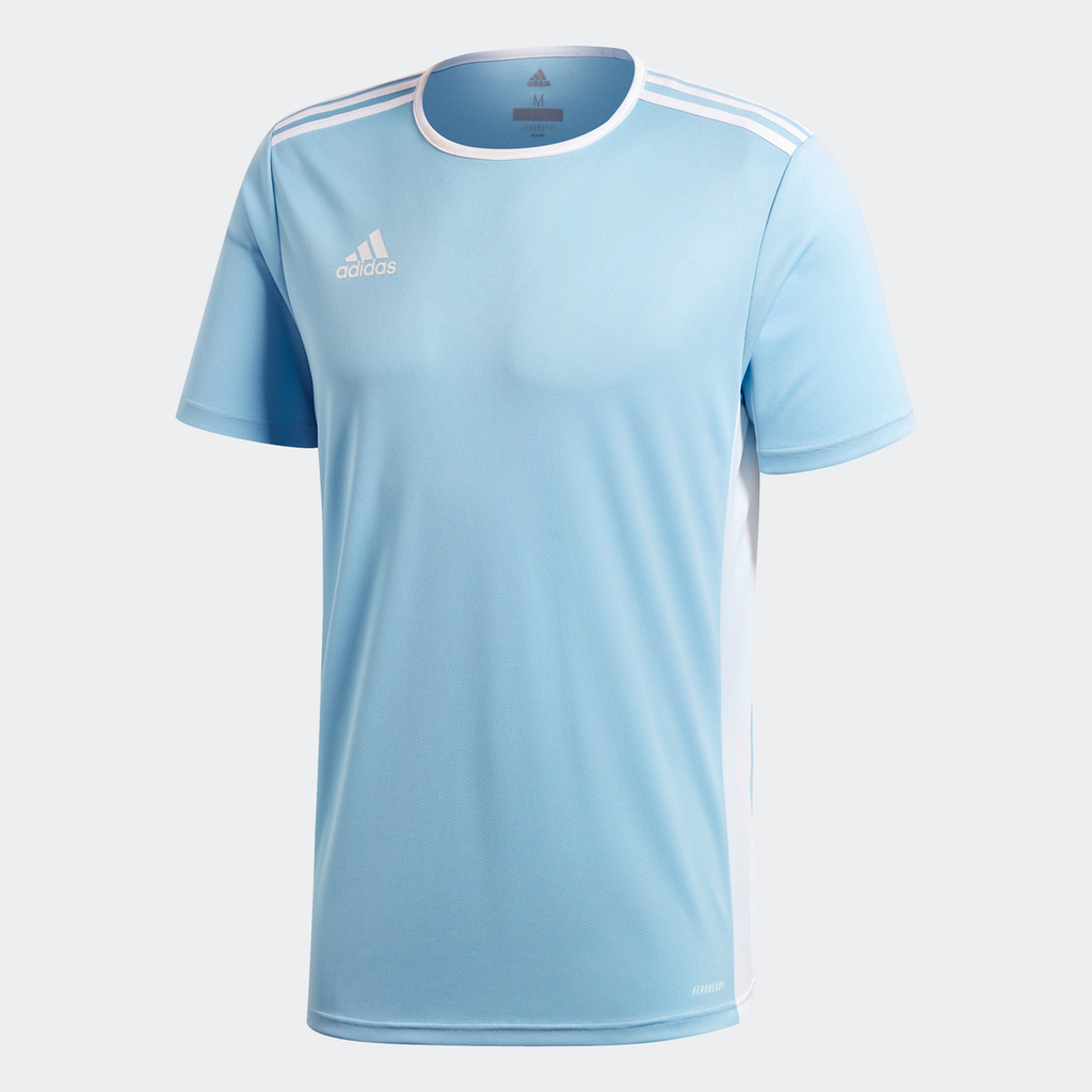 adidas AdiPro 18 GK-Shirt l/s - Blue