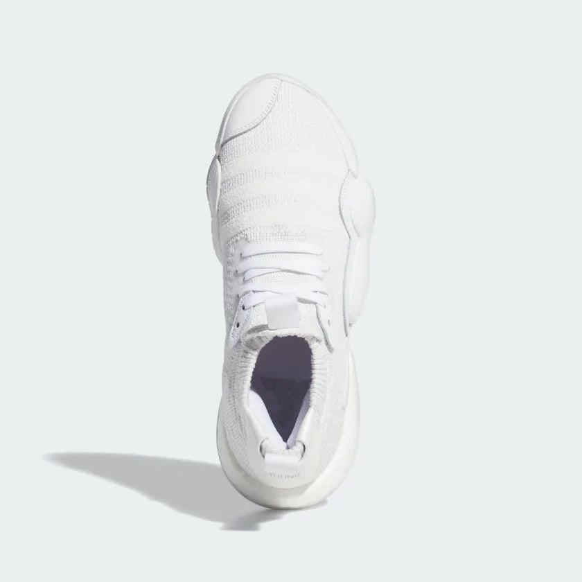Adidas Men's Trae Young 2 Basketball Shoes, White/Grey/White / 10